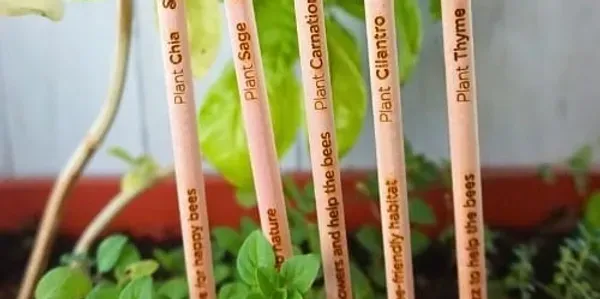 imgi_16_rs=w_600,h_300,cg_true